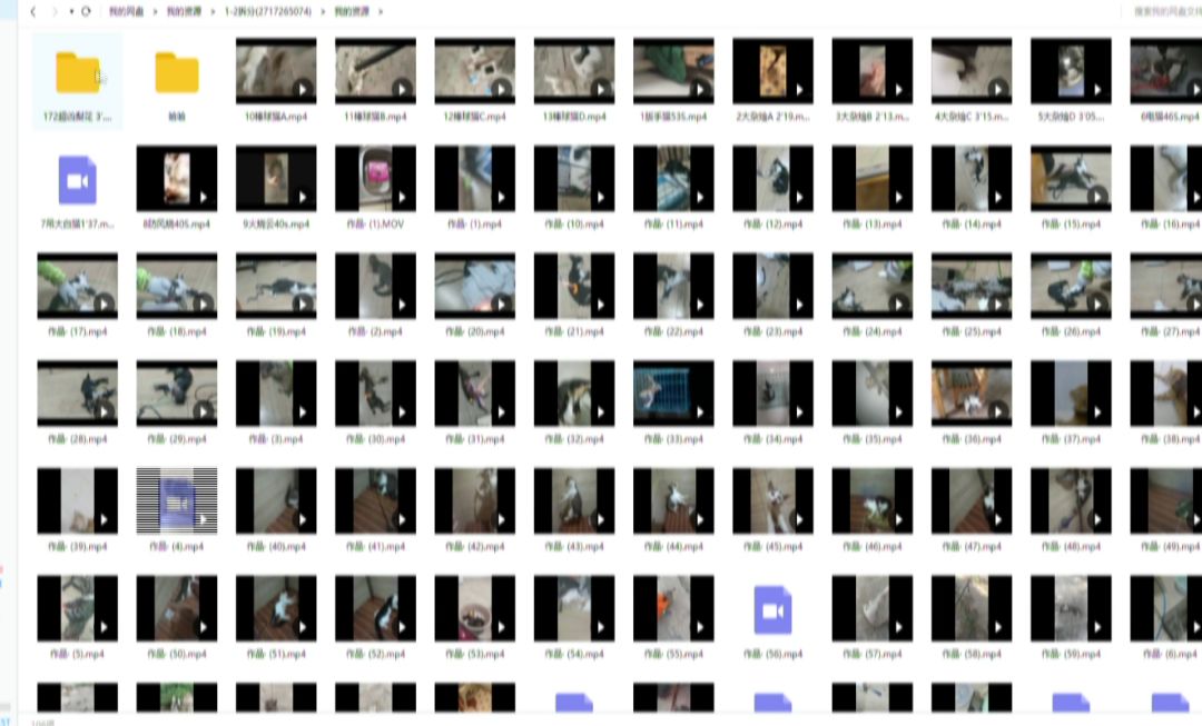 肆意踩踏!用烟头烫!海量虐猫视频在网上竟以3