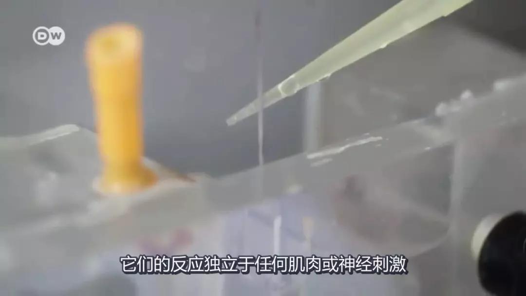 颜筋什么骨成语_成语故事图片(3)