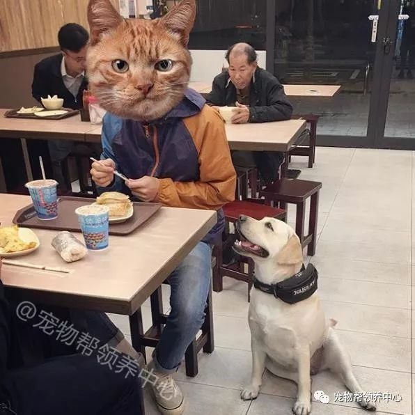 003bff4a8b154666bee21cc3d18ce4f7.jpeg