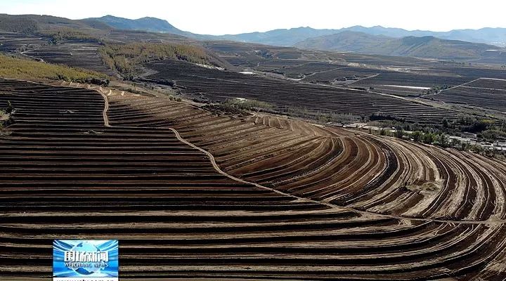 精选我县坡耕地水土流失综合治理工程已全面启动