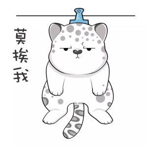 世界雪豹日让我们一起换上超萌雪豹头像
