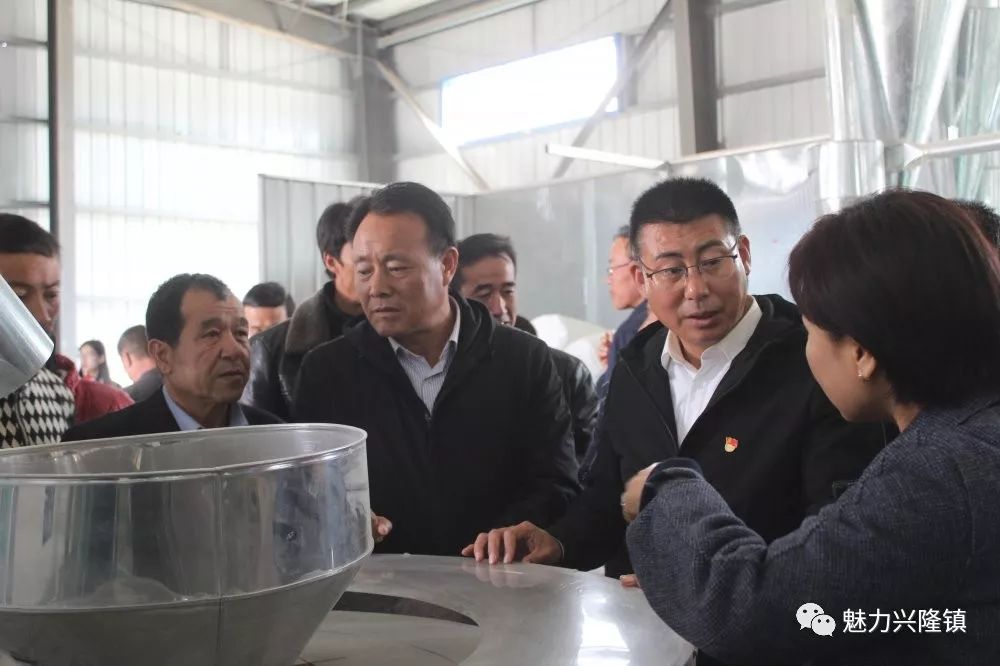 杨坊村人口_绯村剑心真人