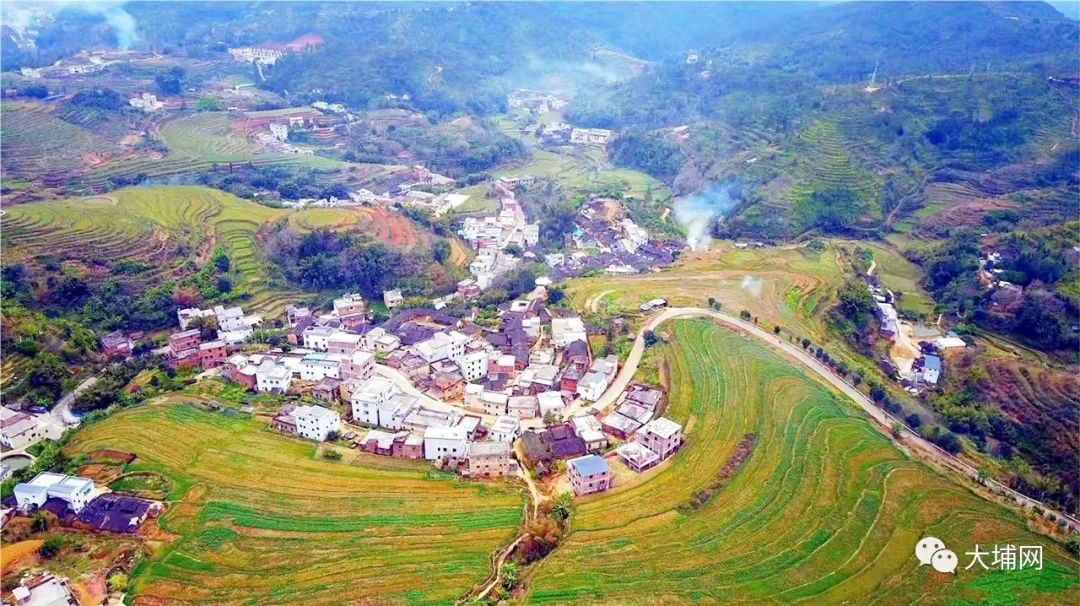 大东镇大埔县枫朗镇三溪村大埔县枫朗镇芹彩洋村大埔县枫朗镇王兰村