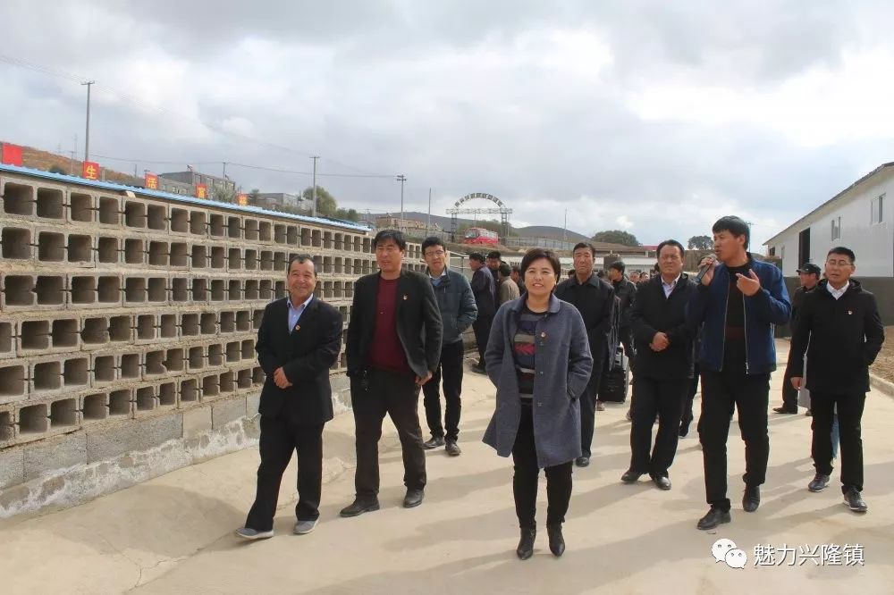 杨坊村人口_绯村剑心真人