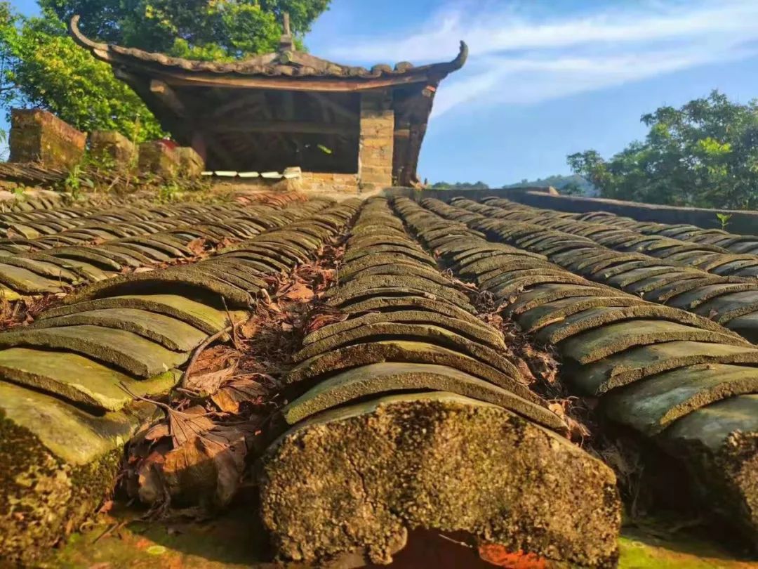 有颜有景有情怀！龙门这个返璞归真的地方，我想带你去看看(图4)