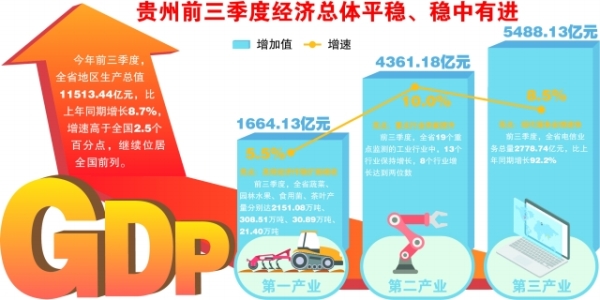 2020年贵州第2季度经济总量_2020年贵州脱贫统计图(2)