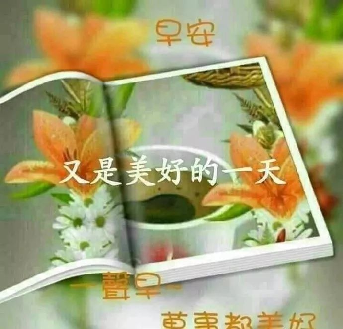 秋天早上好表情动态图片带字和鲜花,早上好问候祝福动态图片