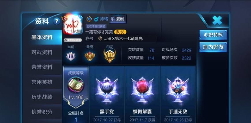 王者荣耀全服排名_王者荣耀国服图片