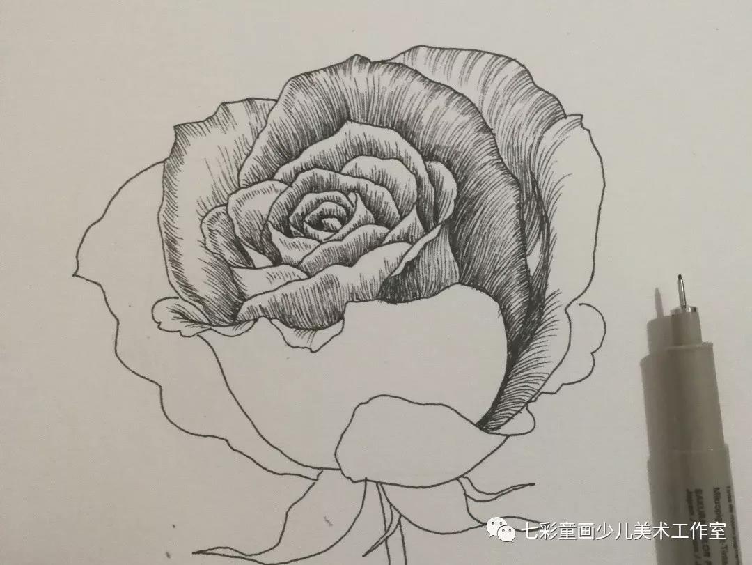 线描绘画教程——《玫瑰花》