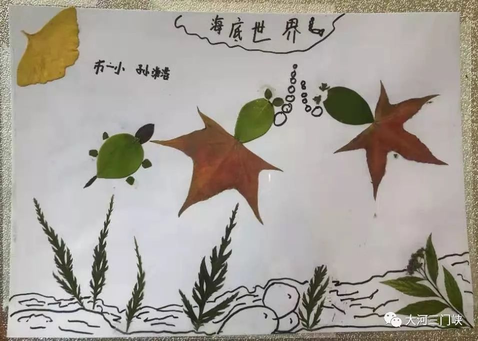 大河报小记者丨珍藏秋天,一起做植物标本画!