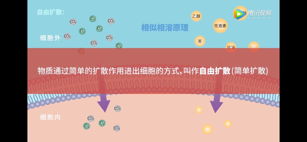 生物大师高中被动运输通道蛋白与诺贝尔奖