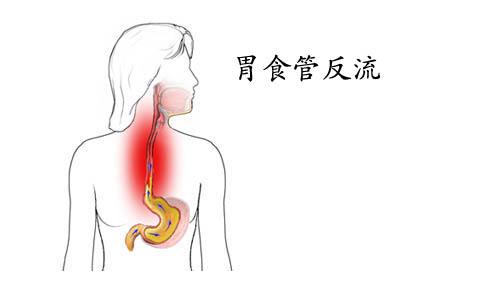 脾胃病怎么搭脉_脾胃虚弱怎么调理最快(3)