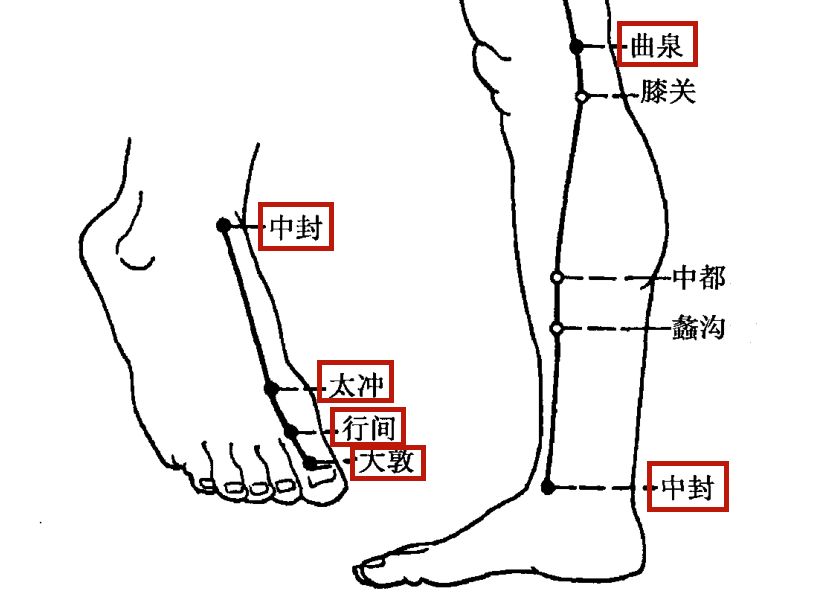 除了日常疏通易堵穴位之外,我们还可以去找肝经的五腧穴,做更有针对