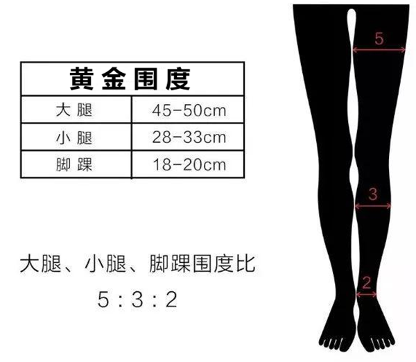 47*身高(cm) 大腿长度:小腿长度=3:5 腿围的计算公式,自算一下