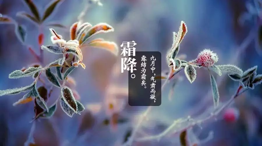 霜降碧天静,秋事促西风!