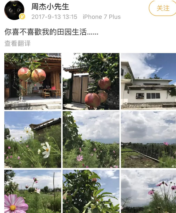 文章配图