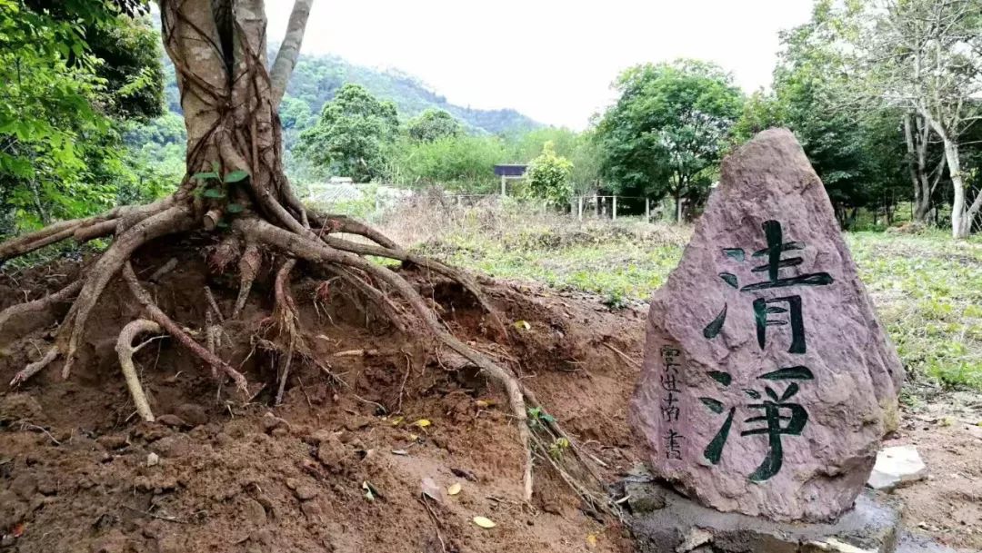 有颜有景有情怀！龙门这个返璞归真的地方，我想带你去看看(图12)