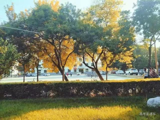沈阳师范大学