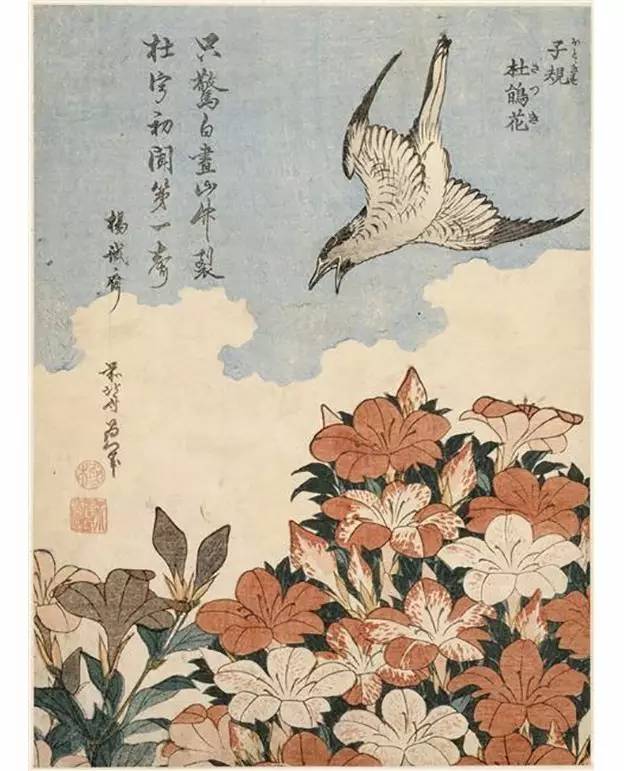 1834 crossbill and thistle 天保年间的日本,已经开始受到西方列强
