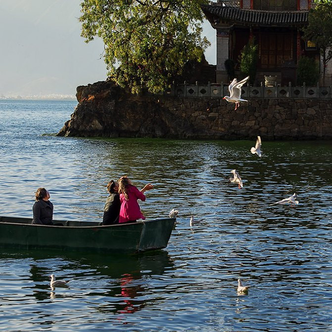 云南、这一生只为你沉醉(附详细攻略)