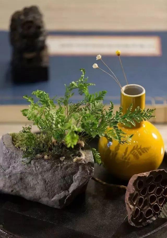 来源网络版权归原作者 静心能去浮躁,静思能去烦恼.