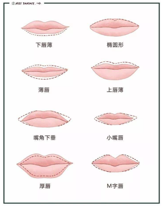 测测你的唇形属于哪种性格,喜欢哪一款的唇形?