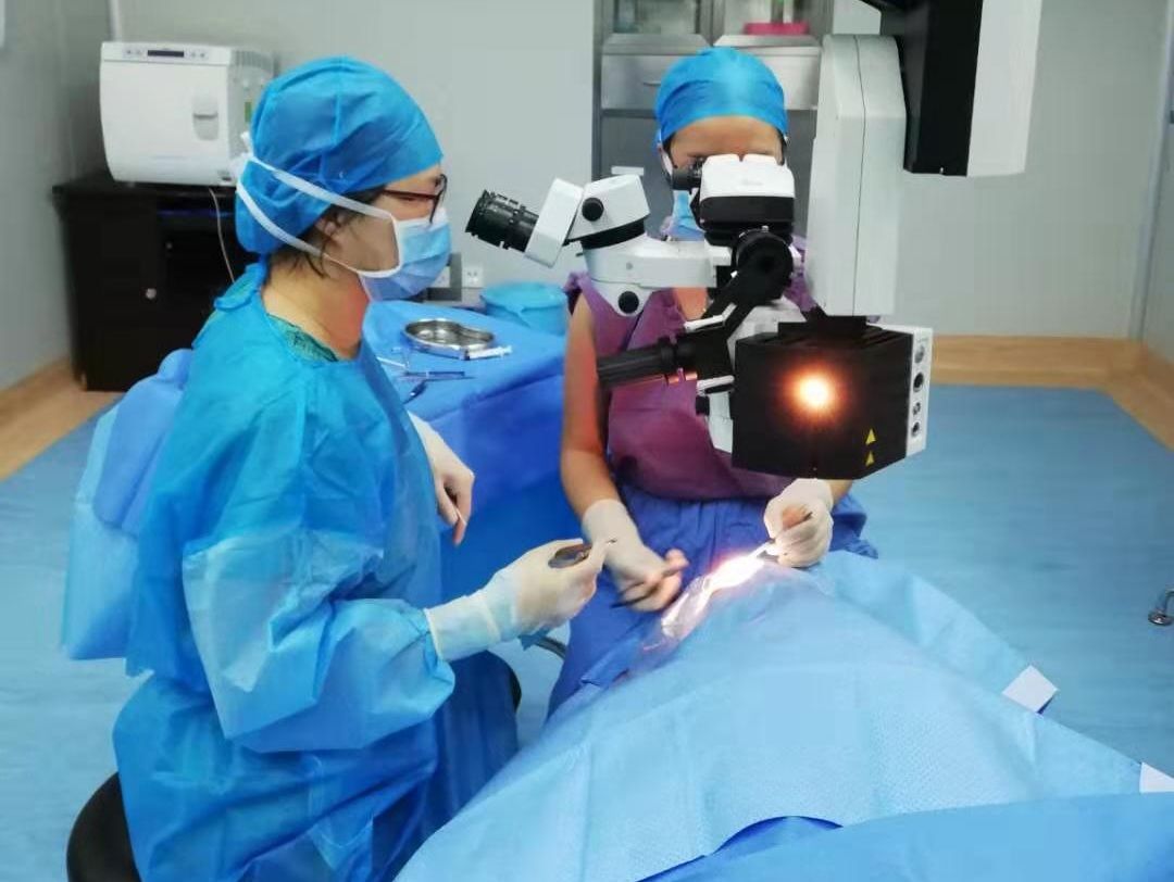 东西部协作丨浙黔情深传佳话,对口帮扶显成效