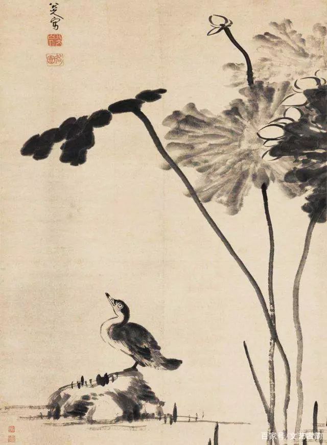 艺赏| 八大山人画了一只鸟,眼神忧郁!放大10倍,看懂的
