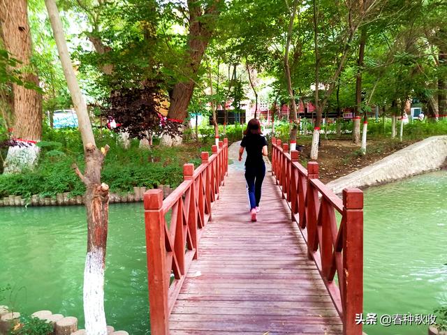 经过多年建设的哈密河国家湿地公园项目,取得了显著成效,成为建设