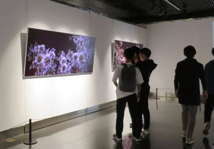 【现场】黄可一《击鼓传花》《梦》双展开展!