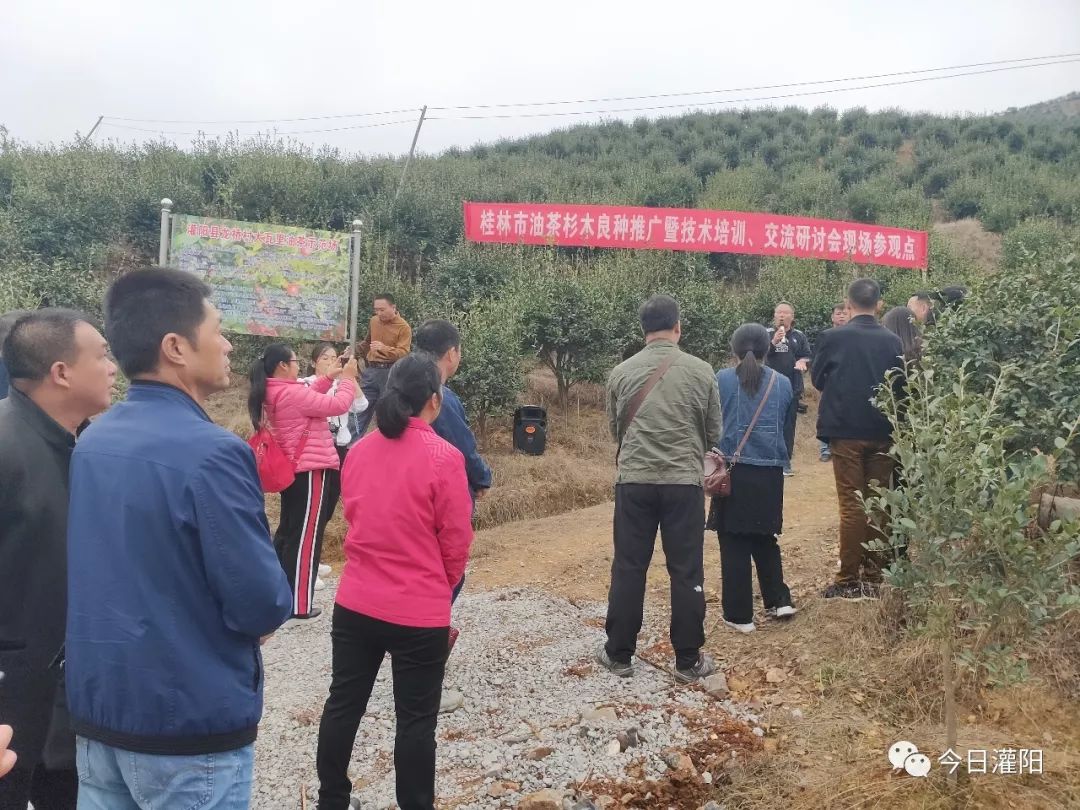 副县长杨小龙,县自然资源局局长蒋代忠陪同市局领导一行,来到灌阳县