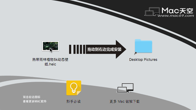 html 热带雨林植物5k动态壁纸安装教程 安装方法一: 下载完成后双击