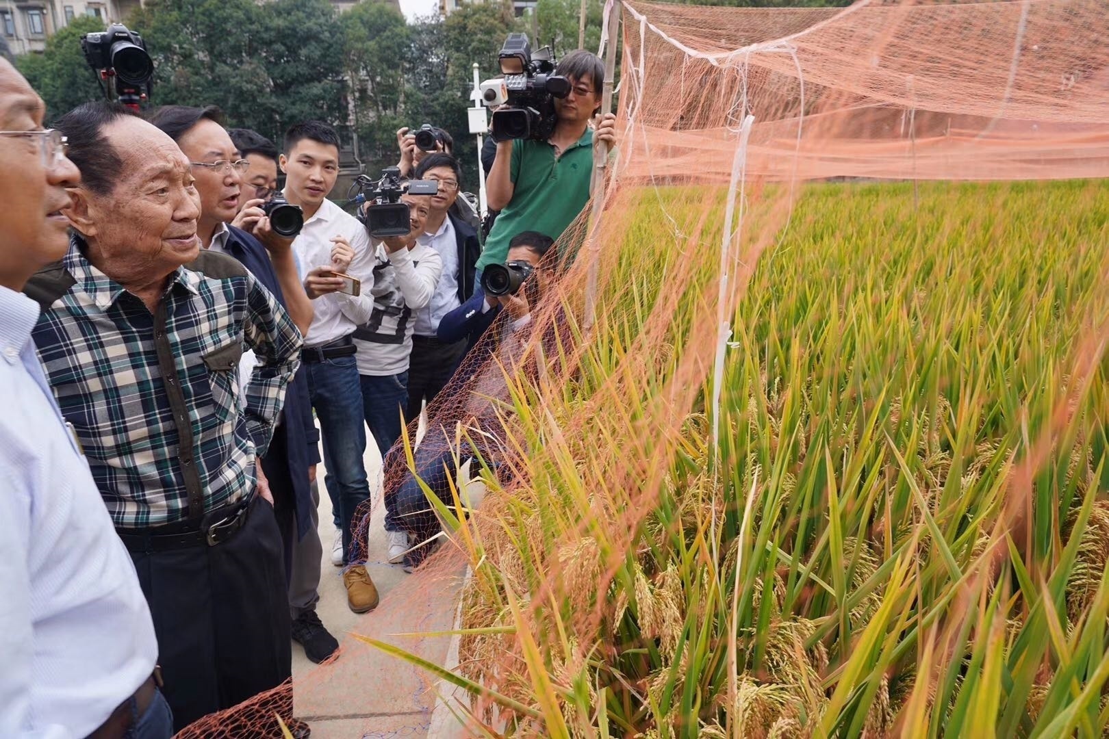 人均粮食_中国人均粮食数据图(3)