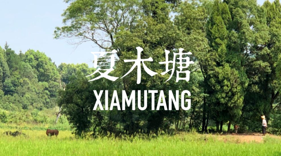 开云体育 Kaiyun.com 官网入口征文选登 《遇见夏木塘(图2)