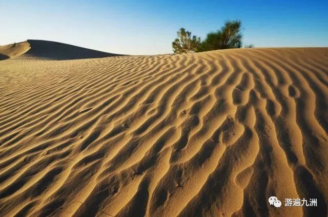 境地是什么意思啊 100fb7362d7340a1bcaea70e5924eac8.jpeg