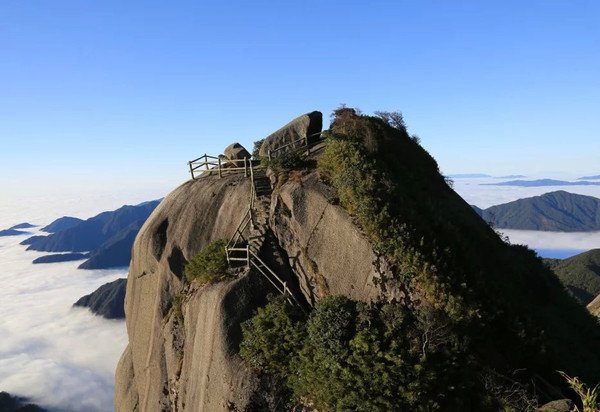 文章配图-2