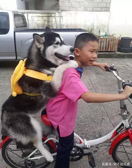 怎么搞笑夸女孩子照片好看 1d04f9854ff547a5b8ad4379a2123023.jpeg