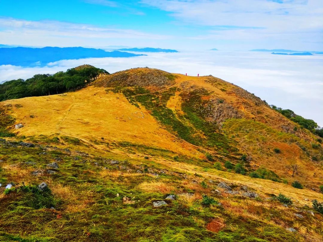 30日-12月02日】赏醉美银杏·红沙漠·汝城温泉·脚踏三省万时山草原