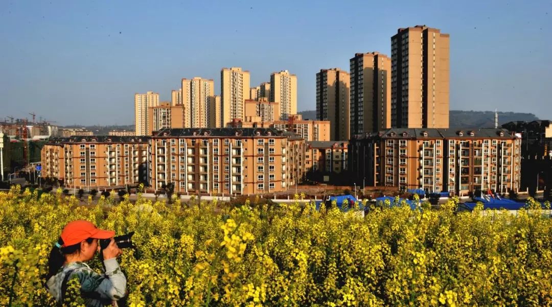 江津gdp_江津鼎山公园