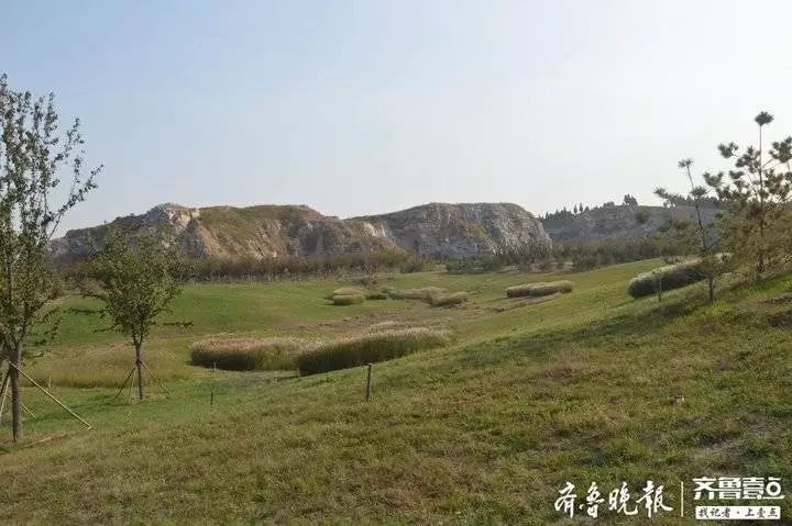 淄博九顶山生态山地森林公园计划