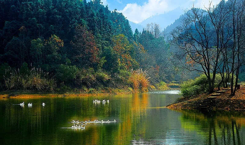 芒花漾是龙川湾景区中自然景观最美的地方,山水环绕,环境清幽.