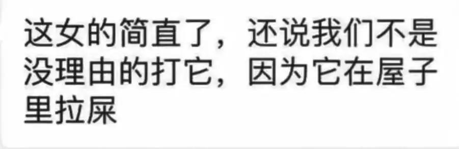 氣憤！薩摩耶在家大便惹怒主人，被打爆眼球後遺棄，被救助後主人竟還想要回！ 寵物 第15張