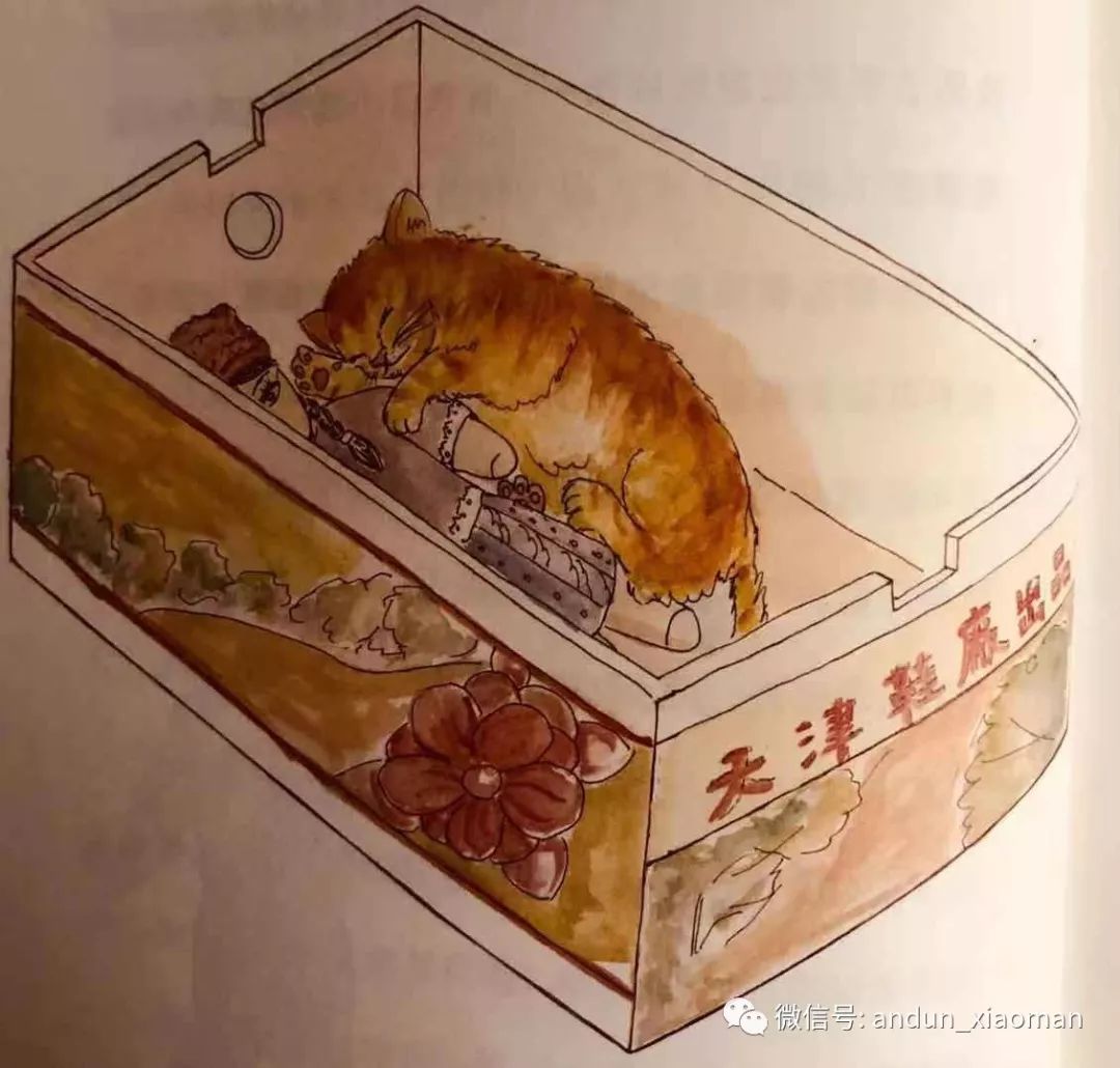 陪着孩子进课堂61周周伴读12花猫三丫上房了
