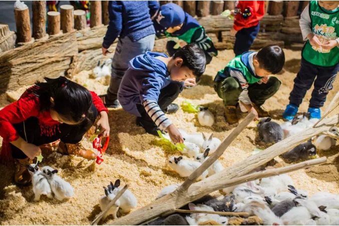 中国旅游景区大全之苏州塔高海洋萌宠乐园