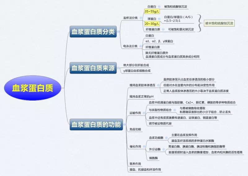 医学生必备:生物化学思维导图