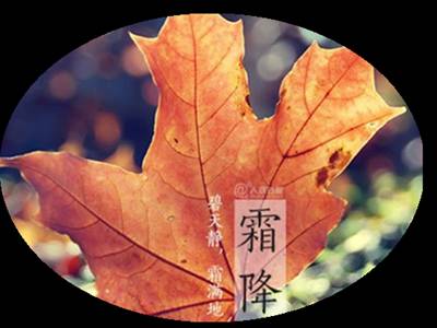 今日霜降,天冷添衣,愿您幸福快乐"双双"降_祝福