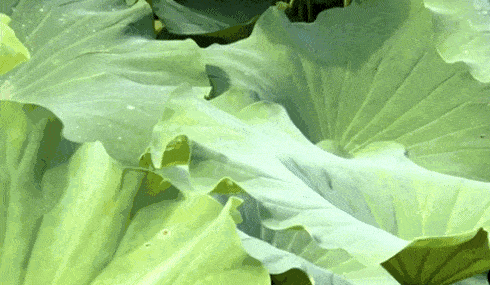 人性最大的愚蠢,是互相为难!