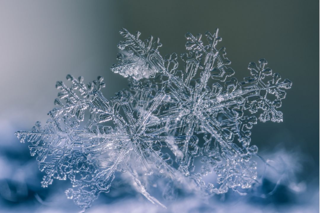 霜降节气图片 7259c809ef4f46fbb2f552514a2fa567.jpeg