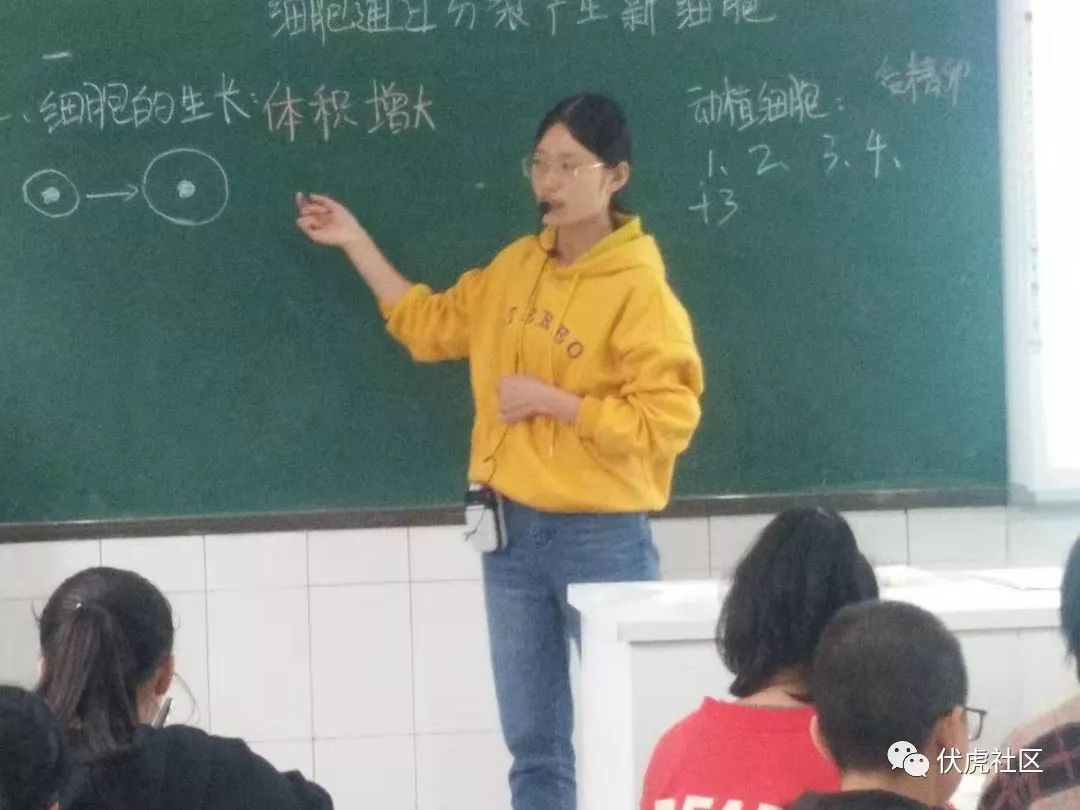 伏虎中学开展教学研讨活动
