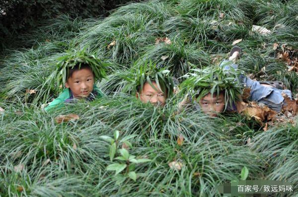 小孩头上有跳蚤怎么办